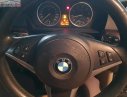 BMW 5 Series 530i 2007 - Cần bán xe BMW 5 Series 530i đời 2007, màu xám, nhập khẩu 