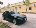 BMW 3 Series 2009 - Bán BMW 3 Series 320i đời 2009, màu đen, nhập khẩu, giá chỉ 456 triệu