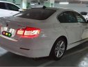 BMW 5 Series 2009 - Xe BMW 5 Series năm sản xuất 2009, màu trắng, giá chỉ 730 triệu