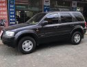 Ford Escape XLT 2002 - Chính chủ bán Ford Escape XLT sản xuất năm 2002, màu xám