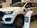 Ford Ranger 2019 - Cần bán xe Ford Ranger sản xuất 2019, nhập khẩu chính hãng