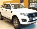 Ford Ranger 2019 - Cần bán xe Ford Ranger sản xuất 2019, nhập khẩu chính hãng