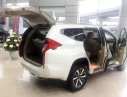 Mitsubishi Pajero 2019 - Bán Mitsubishi Pajero năm sản xuất 2019, xe nhập khẩu chính hãng