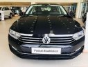 Volkswagen Passat 2019 - Cần bán xe Volkswagen Passat đời 2019, nhập khẩu nguyên chiếc