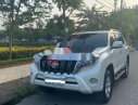 Toyota Prado 2014 - Bán Toyota Prado 2014, còn nguyên bản