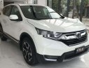 Honda CR V 2019 - Bán ô tô Honda CR V năm sản xuất 2019, nhập khẩu chính hãng