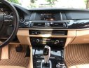 BMW 5 Series  520i   2014 - Cần bán gấp BMW 5 Series 520i sản xuất 2014, nhập khẩu nguyên chiếc