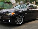 BMW 5 Series  520i   2014 - Cần bán gấp BMW 5 Series 520i sản xuất 2014, nhập khẩu nguyên chiếc