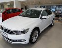 Volkswagen Passat 2019 - Cần bán Volkswagen Passat đời 2019, màu trắng, nhập khẩu
