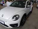 Volkswagen New Beetle 2018 - Bán Volkswagen New Beetle đời 2018, màu trắng, nhập khẩu nguyên chiếc