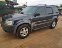 Ford Escape 2002 - Bán Ford Escape 2002 số tự động, giá tốt