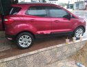 Ford EcoSport 2016 - Cần bán xe Ford EcoSport năm 2016, nhập khẩu chính hãng