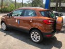 Ford EcoSport   2019 - Cần bán xe Ford EcoSport sản xuất 2019, màu nâu