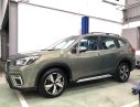 Subaru Forester   2019 - Bán Subaru Forester 2019, nhập khẩu nguyên chiếc, giá chỉ 960 triệu