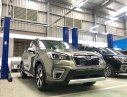 Subaru Forester   2019 - Bán Subaru Forester 2019, nhập khẩu nguyên chiếc, giá chỉ 960 triệu