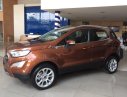 Ford EcoSport   2019 - Cần bán xe Ford EcoSport sản xuất 2019, màu nâu