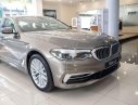 BMW 5 Series   2019 - Cần bán xe BMW 530i đời 2019, màu vàng, nhập khẩu