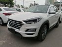 Hyundai Tucson 2019 - Bán ô tô Hyundai Tucson năm sản xuất 2019 xe nội thất đẹp