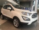 Ford EcoSport 2019 - Bán Ford EcoSport Titanium 2019, tặng full phụ kiện kèm tiền mặt