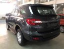 Ford Everest 2019 - Bán xe Ford Everest Ambient 2.0 AT đời 2019, xe nhập