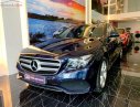 Mercedes-Benz E class 2018 - Bán Mercedes năm sản xuất 2018, màu xanh lam xe nguyên bản