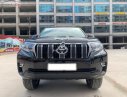 Toyota Prado 2018 - Bán ô tô Toyota Prado sản xuất năm 2018, màu đen, xe nhập chính hãng