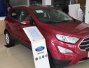 Ford EcoSport 2019 - Bán xe Ford EcoSport đời 2019, giá hấp dẫn