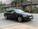 BMW 5 Series 2016 - Bán BMW 5 Series năm 2016, màu đen, nhập khẩu chính hãng