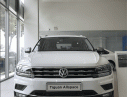 Volkswagen Tiguan 2019 - 600 triệu mang xe Đức Volkswagen Tiguan AllSpace nhập khẩu về nhà, giảm giá cuối năm 173 triệu