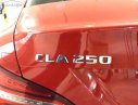 Mercedes-Benz CLA class CLA 250 4Matic 2016 - Bán ô tô Mercedes CLA250 2016, màu đỏ, xe nhập