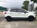 Ford EcoSport 2016 - Xe Ford EcoSport 2016, màu trắng xe nguyên bản