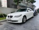 BMW 5 Series 2009 - Cần bán BMW 5 series 523i 2009, màu trắng, nhập khẩu nguyên chiếc