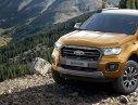 Ford Ranger XLS AT, XLS MT, Wildtrak 2019 - Cần bán Ford Ranger XLS, Wildtrak 2019 với giá hấp dẫn nhất thị trường Việt Nam