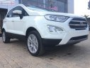 Ford EcoSport 2019 - Bán xe Ford EcoSport Titanium 1.5L AT đời 2019, màu trắng