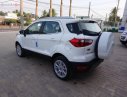 Ford EcoSport 2019 - Bán xe Ford EcoSport Titanium 1.5L AT đời 2019, màu trắng