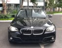 BMW 5 Series 520i 2015 - Bán ô tô BMW 5 Series đời 2015, màu đen, nhập khẩu nguyên chiếc