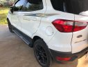 Ford EcoSport 2017 - Bán xe Ford EcoSport đời 2017, màu trắng xe còn mới nguyên