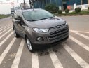 Ford EcoSport 2017 - Cần bán lại xe Ford EcoSport 1.5L AT đời 2017, màu nâu, số tự động