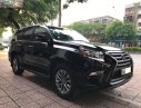 Lexus GX 2015 - Bán Lexus GX 460 sản xuất năm 2015, màu đen, xe nhập chính hãng