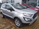 Ford EcoSport Ambiente 1.5L MT 2019 - Cần bán xe Ford EcoSport Ambiente 1.5L MT đời 2019, màu xám