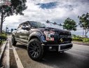 Ford F 150 2016 - Bán ô tô Ford F150 Platinum sản xuất 2016, màu đen, nhập khẩu nguyên chiếc