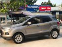 Ford EcoSport Titanium   2017 - Bán Ford EcoSport Titanium sản xuất 2017, màu xám chính chủ, 528tr