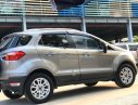 Ford EcoSport Titanium   2017 - Bán Ford EcoSport Titanium sản xuất 2017, màu xám chính chủ, 528tr