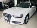 Audi A4 1.8   2013 - Bán Audi A4 1.8 đời 2013, màu trắng, xe nhập đẹp như mới, giá 880tr