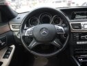 Mercedes-Benz E class  E200 2014 - Cần bán lại xe Mercedes 250 năm sản xuất 2014, màu đen