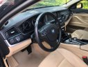 BMW 5 Series 520i 2013 - Bán BMW 5 Series 520i đời 2013, màu đen, xe nhập