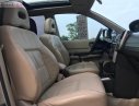 Nissan X trail 2006 - Bán Nissan X trail năm sản xuất 2006, màu vàng, xe nhập chính hãng