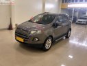 Ford EcoSport 2014 - Bán xe Ford EcoSport sản xuất năm 2014, màu xám xe còn mới nguyên