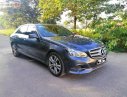 Mercedes-Benz E class 2013 - Cần bán Mercedes E250 đời 2013, màu xám số tự động