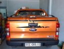 Ford Ranger 2017 - Bán Ford Ranger XLS AT Limited 2.2L năm 2017, màu nâu, nhập khẩu chính chủ